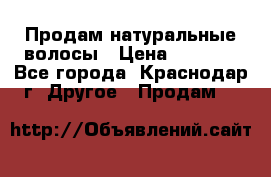 Продам натуральные волосы › Цена ­ 3 000 - Все города, Краснодар г. Другое » Продам   